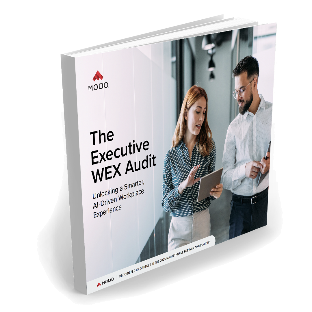 3D Booklet - Executive WEX Audit
